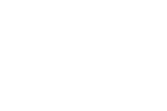 Valley Forge Esports